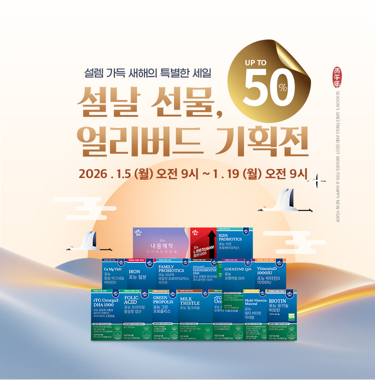 1월 설 얼리버드 기획전